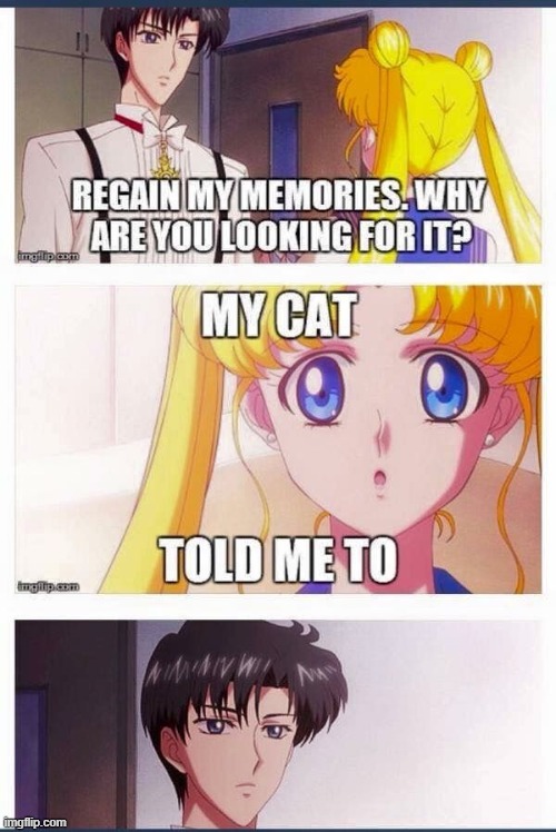 Usagi and Mamoru meme! | made w/ Imgflip meme maker