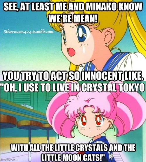 Chibi Usa and Usagi | made w/ Imgflip meme maker