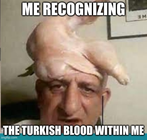 ME RECOGNIZING; THE TURKISH BLOOD WITHIN ME | image tagged in turkey,cursed image,what the fuck | made w/ Imgflip meme maker