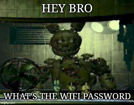 I really don't know what I was on when I made this | HEY BRO; WHAT'S THE WIFI PASSWORD | image tagged in fnaf springtrap in window | made w/ Imgflip meme maker