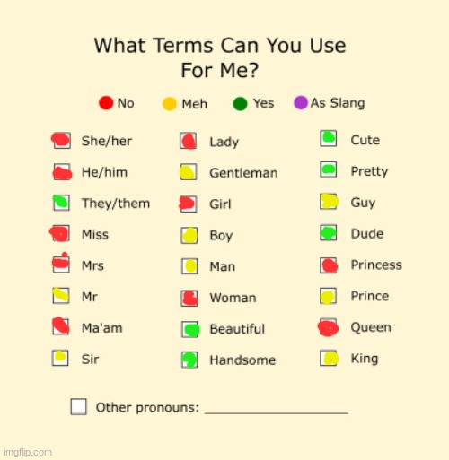 Pronouns Sheet | image tagged in pronouns sheet | made w/ Imgflip meme maker