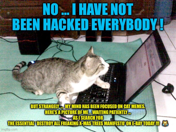 FUNNY CAT MEME | NO … I HAVE NOT BEEN HACKED EVERYBODY ! BUT STRANGELY  …  MY MIND HAS BEEN FOCUSED ON CAT MEMES.
HERE’S A PICTURE OF ME  ,  WAITING PATIENTLY …
 AS I SEARCH FOR 
THE ESSENTIAL ‘ DESTROY ALL FREAKING X-MAS TREES MANIFESTO’ ON E-BAY TODAY !!!   😹 | image tagged in hacker cat | made w/ Imgflip meme maker