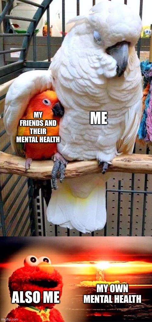 relatable? | MY FRIENDS AND THEIR MENTAL HEALTH; ME; MY OWN MENTAL HEALTH; ALSO ME | image tagged in big bird comforting small bird,elmo nuclear explosion,depression,mental health | made w/ Imgflip meme maker