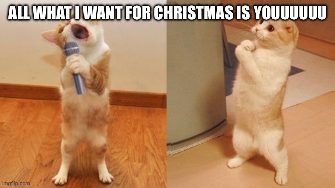 Kitty cat | ALL WHAT I WANT FOR CHRISTMAS IS YOUUUUUU | image tagged in cat singing | made w/ Imgflip meme maker