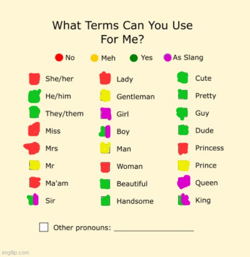 Pronouns Sheet | image tagged in pronouns sheet | made w/ Imgflip meme maker