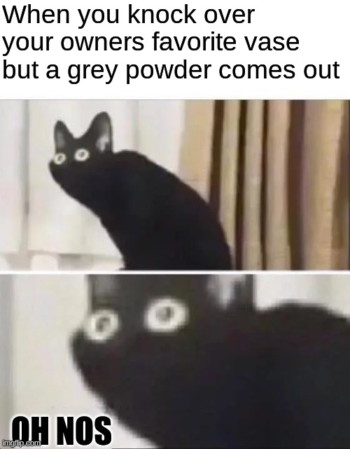 .. | When you knock over your owners favorite vase but a grey powder comes out; OH NOS | image tagged in oh no black cat | made w/ Imgflip meme maker