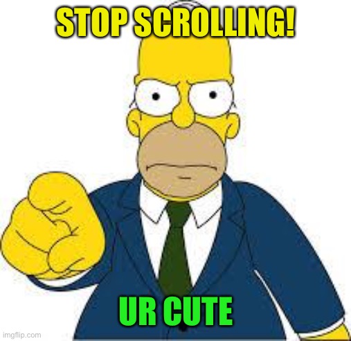 Hey you | STOP SCROLLING! UR CUTE | image tagged in hey you,fun,fun stream,fresh memes | made w/ Imgflip meme maker