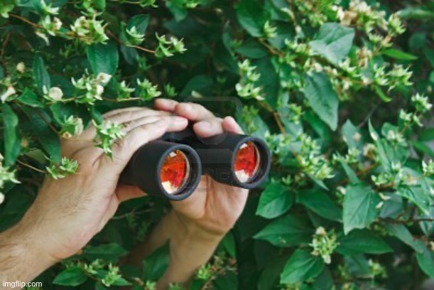Creepy Guy in the bushes with Binoculars  | image tagged in creepy guy in the bushes with binoculars | made w/ Imgflip meme maker
