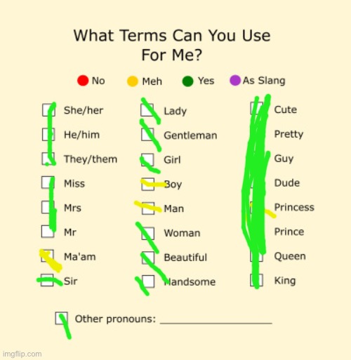 Pronouns Sheet | image tagged in pronouns sheet | made w/ Imgflip meme maker