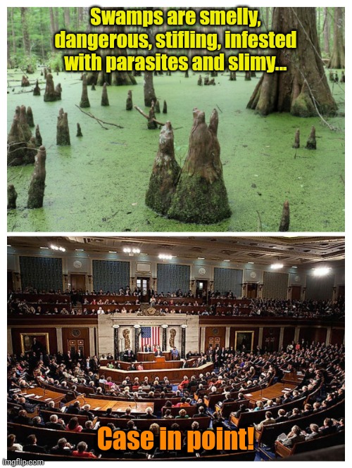 Swamps are smelly, dangerous, stifling, infested with parasites and slimy... Case in point! | made w/ Imgflip meme maker