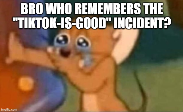 If you don't I'll put it in the comments | BRO WHO REMEMBERS THE "TIKTOK-IS-GOOD" INCIDENT? | image tagged in jerry laughing | made w/ Imgflip meme maker