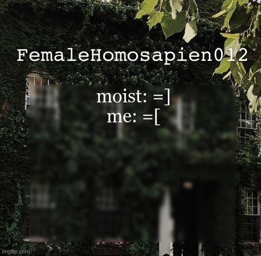 pfp thing | moist: =]
me: =[ | image tagged in femalehomosapien012 | made w/ Imgflip meme maker