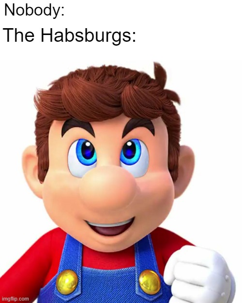 Making the Habsburgs without them mustache | Nobody:; The Habsburgs: | image tagged in mario without cap and mustache,memes | made w/ Imgflip meme maker