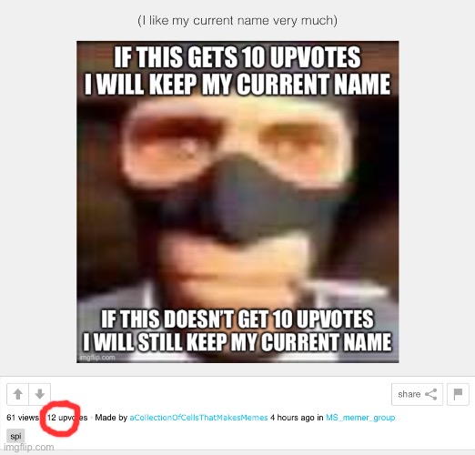 I got 10 ups on my last meme. Looks like I’ll keep my name after all. | made w/ Imgflip meme maker