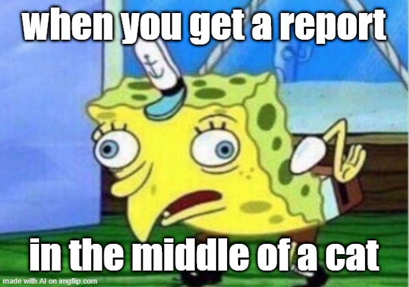 Mocking Spongebob | when you get a report; in the middle of a cat | image tagged in memes,mocking spongebob | made w/ Imgflip meme maker