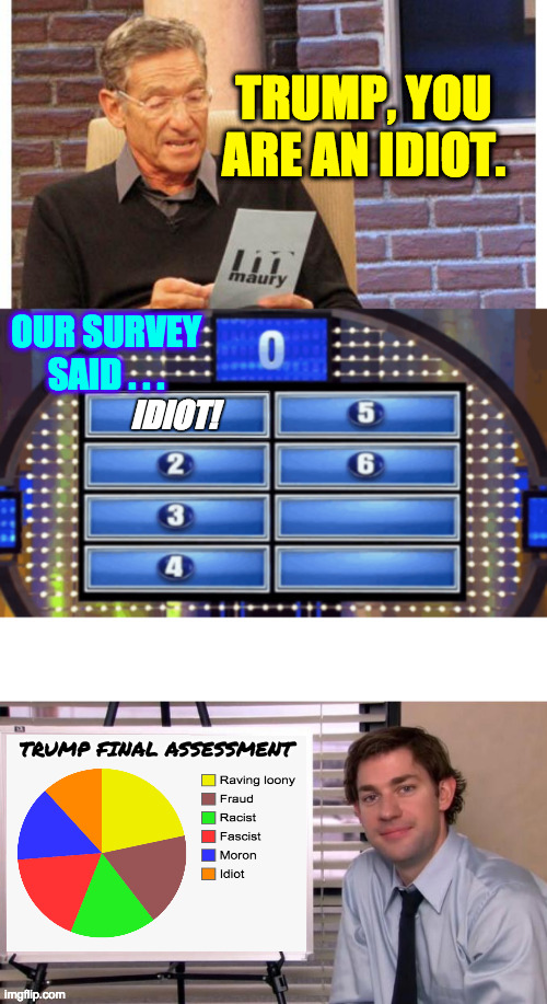 I ran out of room on my chart. Trump is a two-pie-chart idiot. | TRUMP, YOU ARE AN IDIOT. IDIOT! TRUMP FINAL ASSESSMENT OUR SURVEY
SAID . . . | image tagged in memes,idiot trump | made w/ Imgflip meme maker