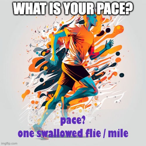what is your pace? | WHAT IS YOUR PACE? | image tagged in running,triathlon,tri,sport,games | made w/ Imgflip meme maker