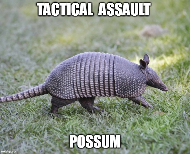 S.ayW.hA.T.? | TACTICAL  ASSAULT; POSSUM | image tagged in oh wow are you actually reading these tags | made w/ Imgflip meme maker