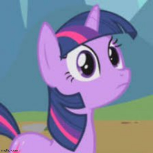 Twilight: "What?" | image tagged in my little pony,my little pony friendship is magic,my little pony meme week | made w/ Imgflip meme maker