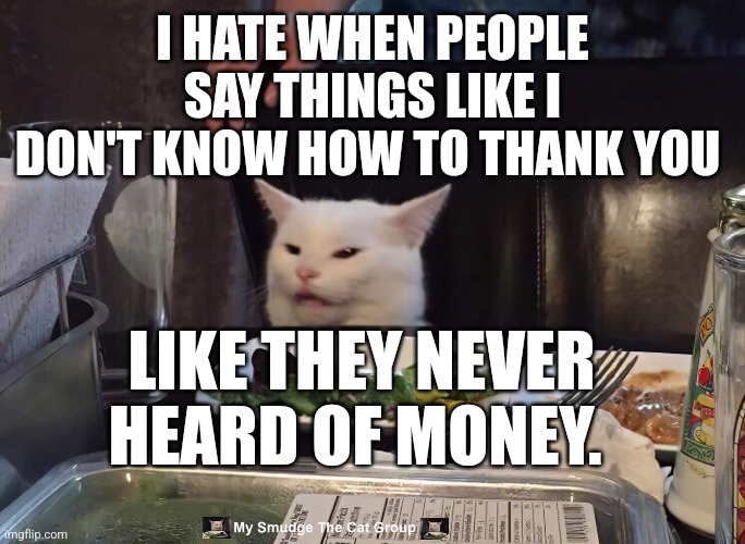 I HATE WHEN PEOPLE SAY THINGS LIKE I DON'T KNOW HOW TO THANK YOU; LIKE THEY NEVER HEARD OF MONEY. | image tagged in smudge the cat | made w/ Imgflip meme maker