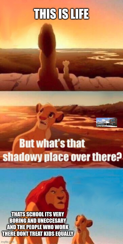 Simba Shadowy Place | THIS IS LIFE; THATS SCHOOL ITS VERY BORING AND UNECCESARY AND THE PEOPLE WHO WORK THERE DONT TREAT KIDS EQUALLY | image tagged in memes,simba shadowy place | made w/ Imgflip meme maker