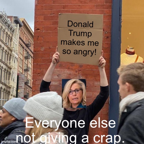 Poor Lizzy! | Donald Trump makes me so angry! Everyone else not giving a crap. | image tagged in memes,guy holding cardboard sign | made w/ Imgflip meme maker