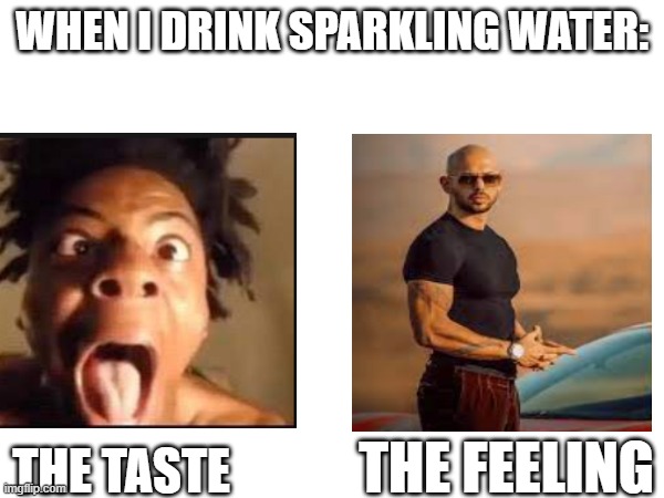 i just drank sparkiling watr | WHEN I DRINK SPARKLING WATER:; THE TASTE; THE FEELING | image tagged in andrew tate | made w/ Imgflip meme maker