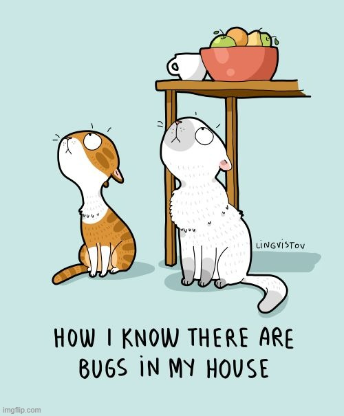 A Cat Lady's Way Of Thinking | image tagged in memes,comics,cats,cat lady,i think we all know where this is going,bugs | made w/ Imgflip meme maker