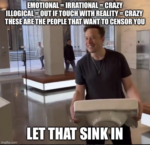Crazy by any other name is still crazy | EMOTIONAL = IRRATIONAL = CRAZY
ILLOGICAL = OUT IF TOUCH WITH REALITY = CRAZY 
THESE ARE THE PEOPLE THAT WANT TO CENSOR YOU; LET THAT SINK IN | image tagged in elon musk sink | made w/ Imgflip meme maker