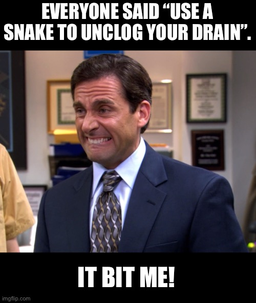 Snake | EVERYONE SAID “USE A SNAKE TO UNCLOG YOUR DRAIN”. IT BIT ME! | image tagged in the office michael ouch | made w/ Imgflip meme maker