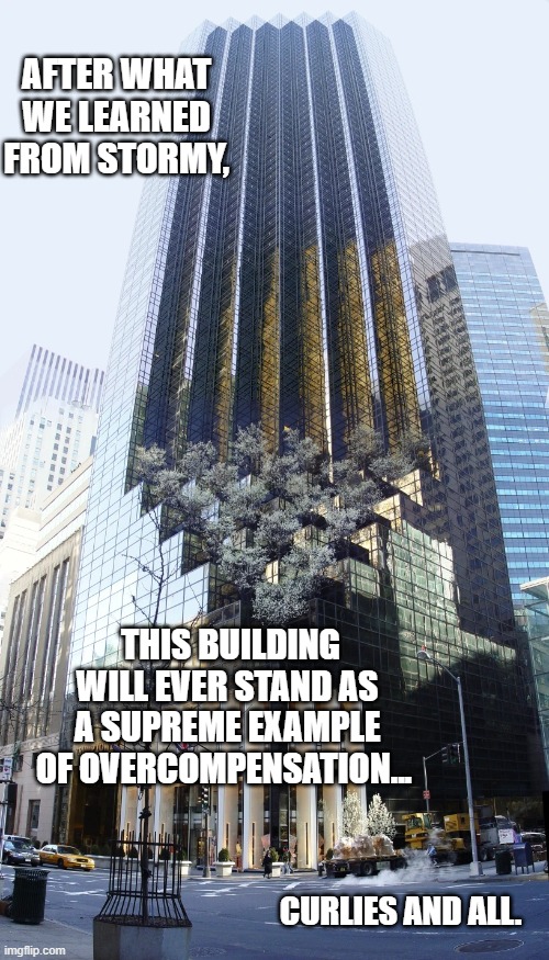 Sometimes all it takes to bring things into focus is a different vantage point. | AFTER WHAT WE LEARNED FROM STORMY, THIS BUILDING WILL EVER STAND AS A SUPREME EXAMPLE OF OVERCOMPENSATION... CURLIES AND ALL. | image tagged in trump tower | made w/ Imgflip meme maker