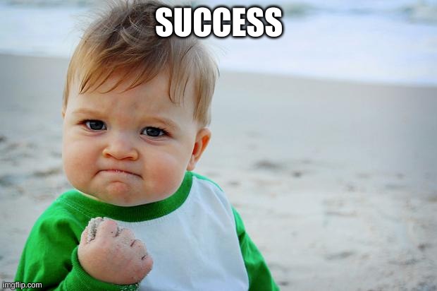 Baby Fist Pump | SUCCESS | image tagged in baby fist pump | made w/ Imgflip meme maker