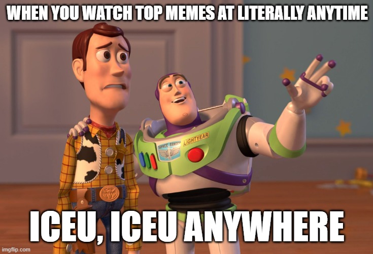 it's 96.024% true | WHEN YOU WATCH TOP MEMES AT LITERALLY ANYTIME; ICEU, ICEU ANYWHERE | image tagged in memes,x x everywhere | made w/ Imgflip meme maker