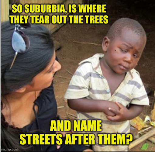 Suburbs | SO SUBURBIA, IS WHERE THEY TEAR OUT THE TREES; AND NAME STREETS AFTER THEM? | image tagged in skepticalkid,dad joke | made w/ Imgflip meme maker