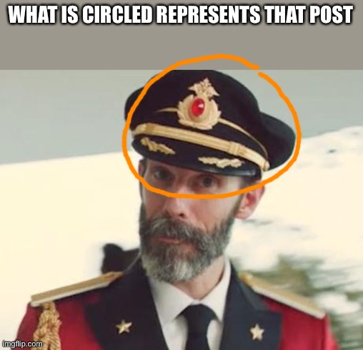 Captain Obvious | WHAT IS CIRCLED REPRESENTS THAT POST | image tagged in captain obvious | made w/ Imgflip meme maker