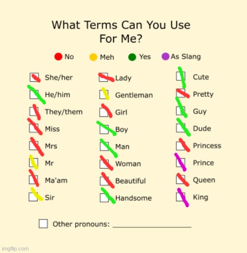 Pronouns Sheet | image tagged in pronouns sheet | made w/ Imgflip meme maker