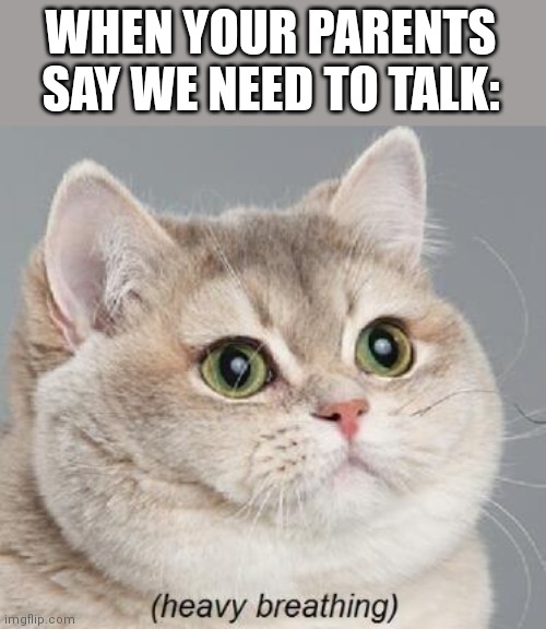 We need to talk | WHEN YOUR PARENTS SAY WE NEED TO TALK: | image tagged in memes,heavy breathing cat,parents | made w/ Imgflip meme maker