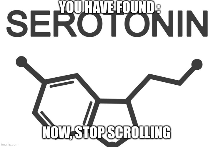 Serotonin | YOU HAVE FOUND :; NOW, STOP SCROLLING | image tagged in serotonin,adhdmeme | made w/ Imgflip meme maker