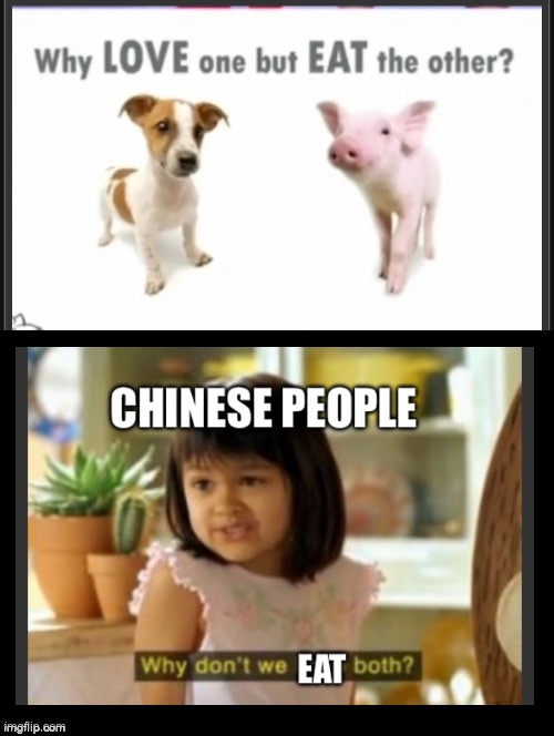 They love eating dogs! | image tagged in double long black template,memes,funny,dark humor,chinese | made w/ Imgflip meme maker