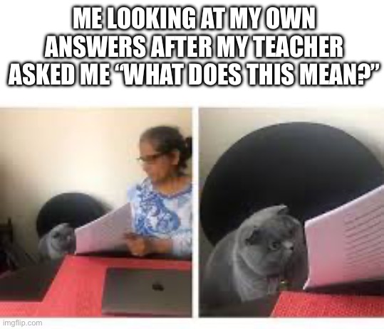 Don’t know exam | ME LOOKING AT MY OWN ANSWERS AFTER MY TEACHER ASKED ME “WHAT DOES THIS MEAN?” | image tagged in gato examen | made w/ Imgflip meme maker
