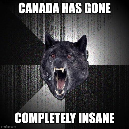 Insanity Wolf Meme | CANADA HAS GONE COMPLETELY INSANE | image tagged in memes,insanity wolf | made w/ Imgflip meme maker