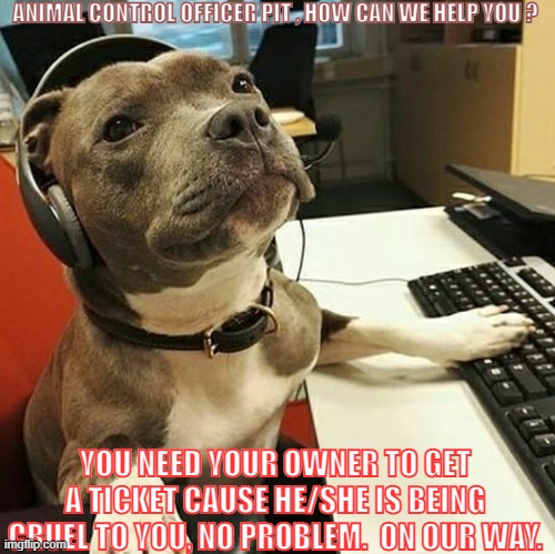 Animal Control Officer (ACO) | ANIMAL CONTROL OFFICER PIT , HOW CAN WE HELP YOU ? YOU NEED YOUR OWNER TO GET A TICKET CAUSE HE/SHE IS BEING CRUEL TO YOU, NO PROBLEM.  ON OUR WAY. | image tagged in pit bull,pets,family,protection,life,love | made w/ Imgflip meme maker
