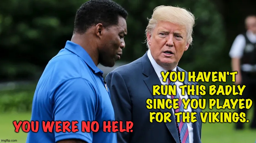 Herschel and his mentor | YOU HAVEN'T RUN THIS BADLY SINCE YOU PLAYED FOR THE VIKINGS. YOU WERE NO HELP. | image tagged in herschel walker trump | made w/ Imgflip meme maker