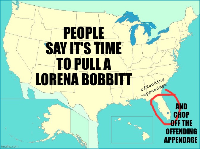 Lorena Bobbitt.  You Should Have Been Around For That Story.  It Was Glorious!! | PEOPLE SAY IT'S TIME TO PULL A LORENA BOBBITT; AND CHOP OFF THE OFFENDING APPENDAGE; offending appendage | image tagged in usa map,lorena bobbitt,lorena bobbitt for president,trump is the offending appendage,trump sucks,memes | made w/ Imgflip meme maker