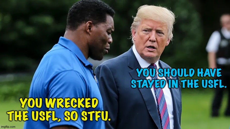 The Continuing Adventures of Herschel and The Donald | YOU SHOULD HAVE STAYED IN THE USFL. YOU WRECKED THE USFL, SO STFU. | image tagged in herschel walker trump | made w/ Imgflip meme maker