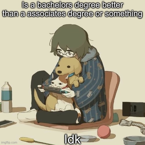 Avogado6 | Is a bachelors degree better than a associates degree or something; Idk | image tagged in avogado6 | made w/ Imgflip meme maker