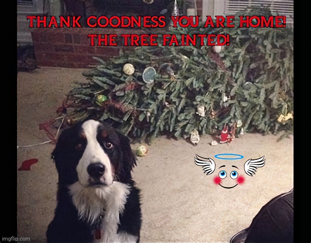 Tree Fainted | image tagged in laughter,dog | made w/ Imgflip meme maker