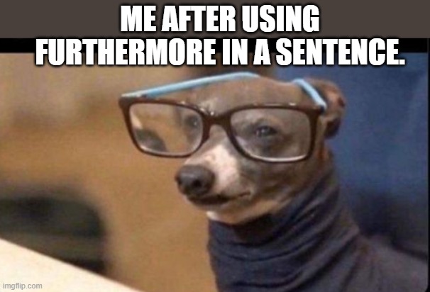 furthermore | ME AFTER USING FURTHERMORE IN A SENTENCE. | image tagged in furthermore,sentence | made w/ Imgflip meme maker