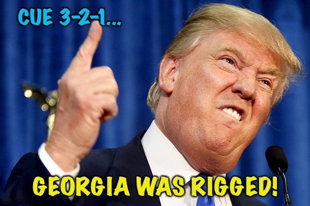 The aftermath of Herschel's defeat | CUE 3-2-1... GEORGIA WAS RIGGED! | image tagged in donald trump | made w/ Imgflip meme maker