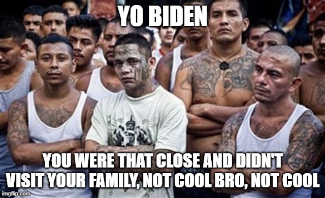 The Biden family reunion in Arizona was cancelled | YO BIDEN; YOU WERE THAT CLOSE AND DIDN'T VISIT YOUR FAMILY, NOT COOL BRO, NOT COOL | image tagged in ms13 family pic,biden family reunion,finish the wall,democrat crime wave,human trafficking,illegals | made w/ Imgflip meme maker